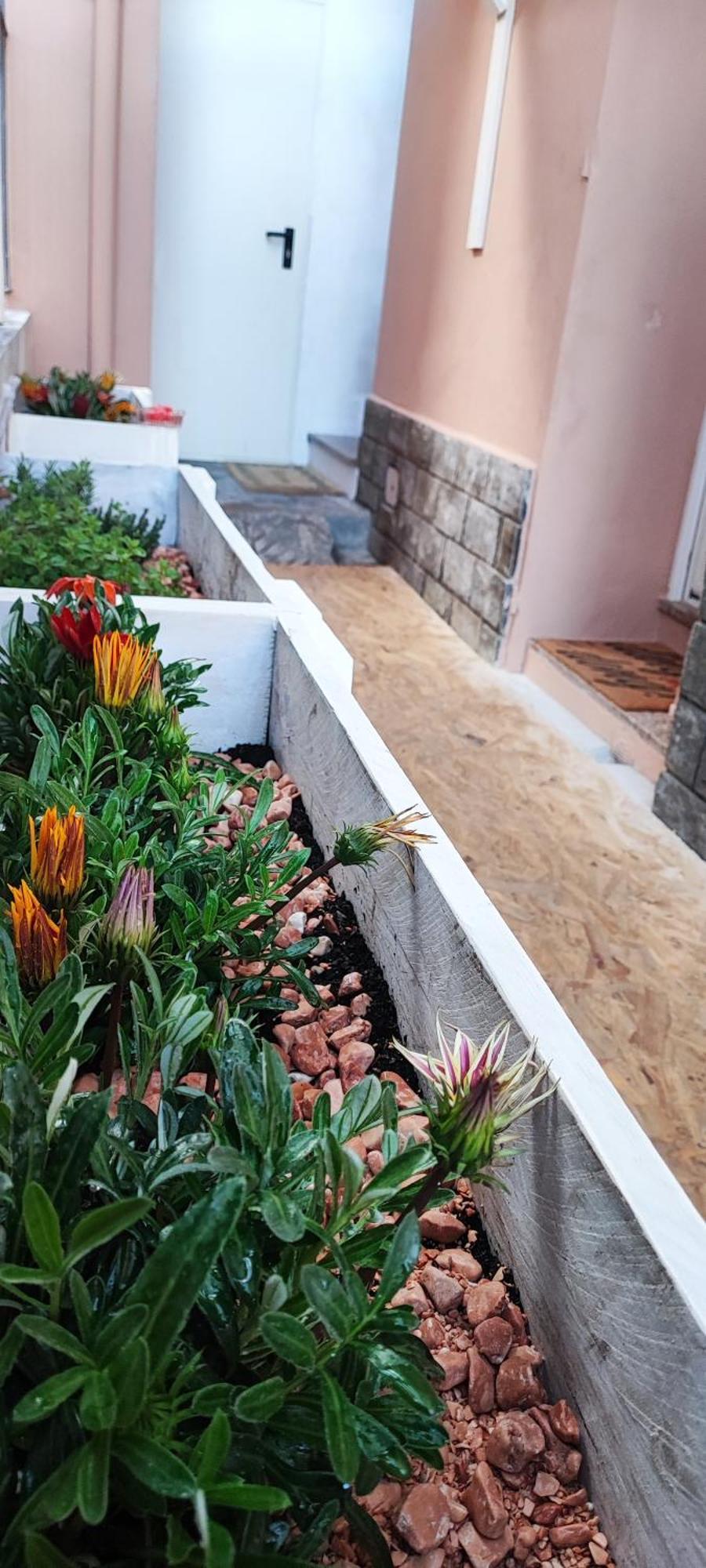 Appartamento Bibliososta Anche Al 1° Piano Anno 2024 Ventimiglia Esterno foto